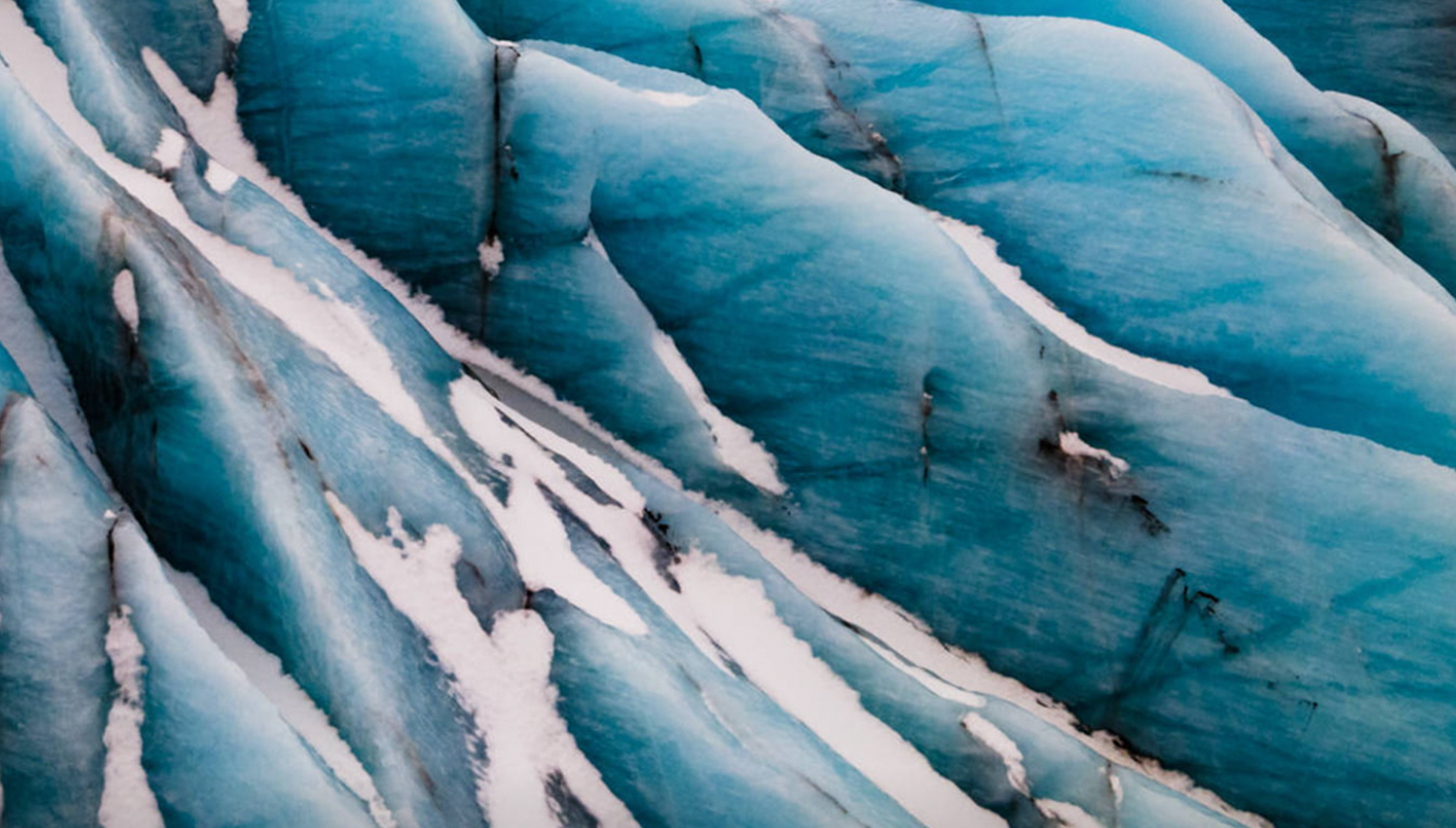 How Virtual Reality is Revolutionizing the Art World